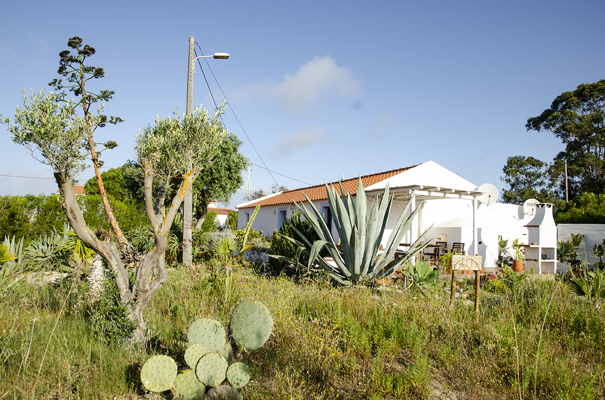 Casa Jamila interior